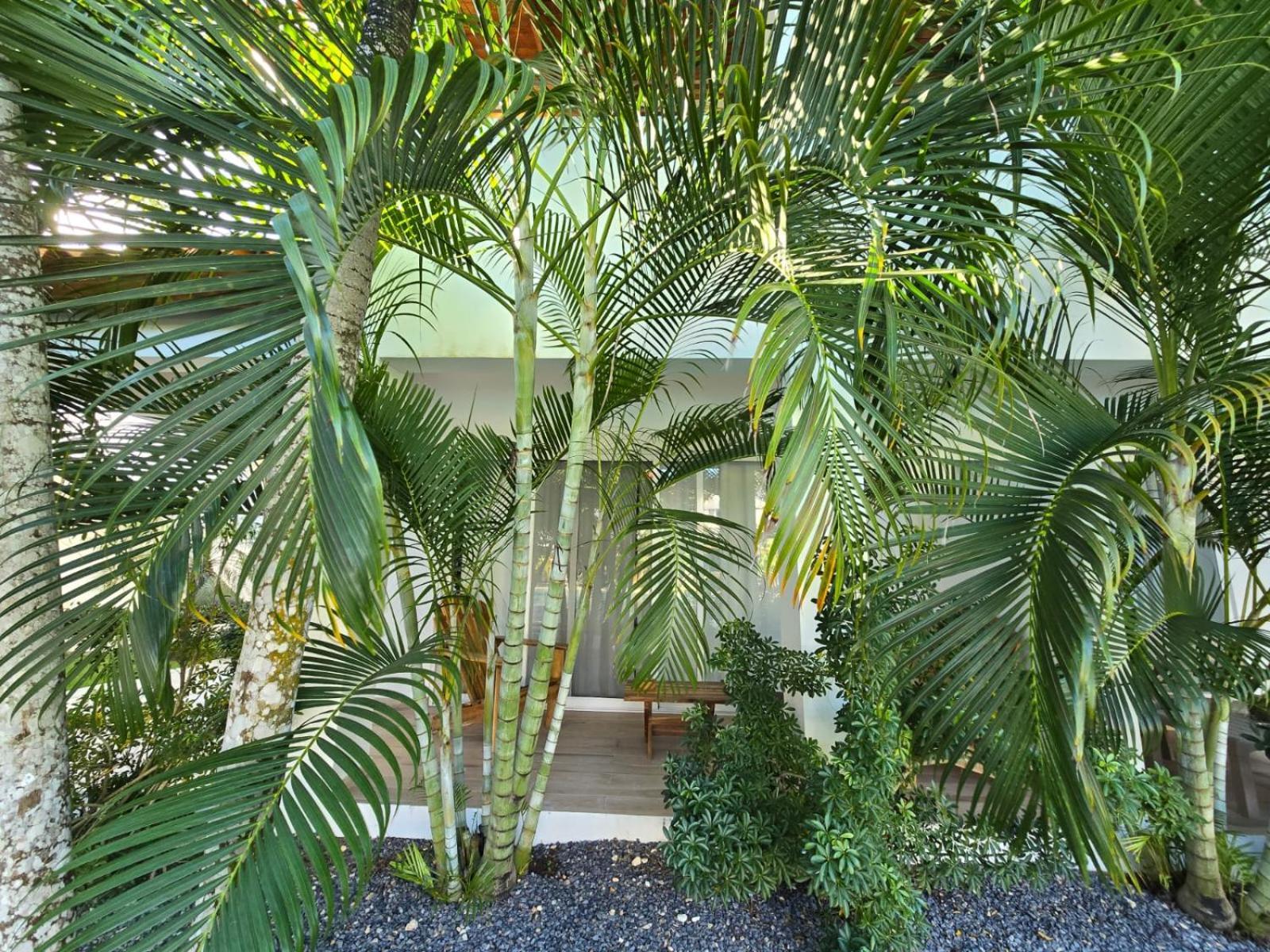 Residencial Paraiso Bayahibe Dış mekan fotoğraf